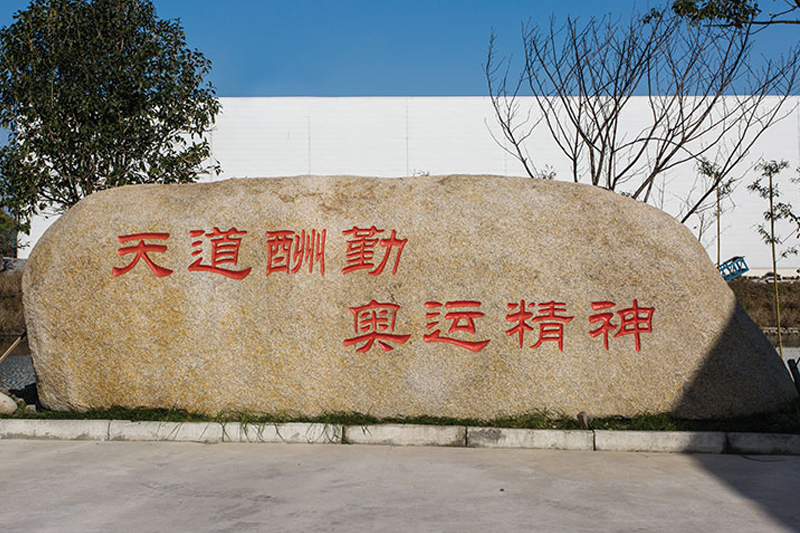 植物环境